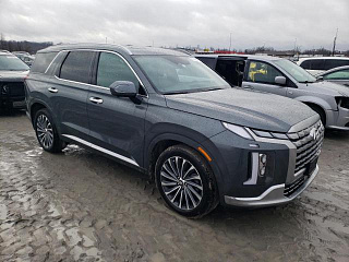 HYUNDAI PALISADE CALLIGRAPHY 2023