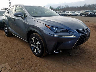 LEXUS NX 300H 2019